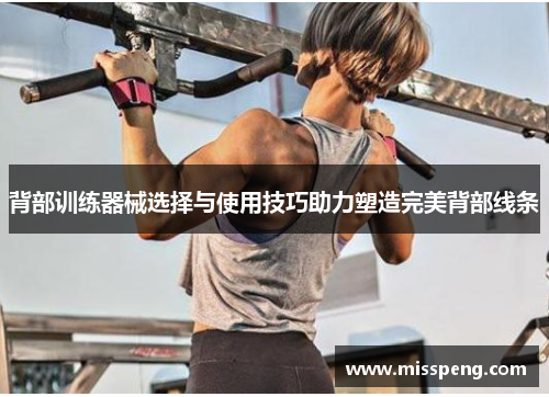 背部训练器械选择与使用技巧助力塑造完美背部线条
